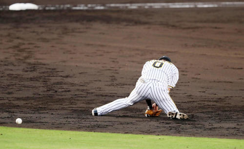 3回表オリックス1死、木浪は若月の打球を失策する（撮影・加藤哉）