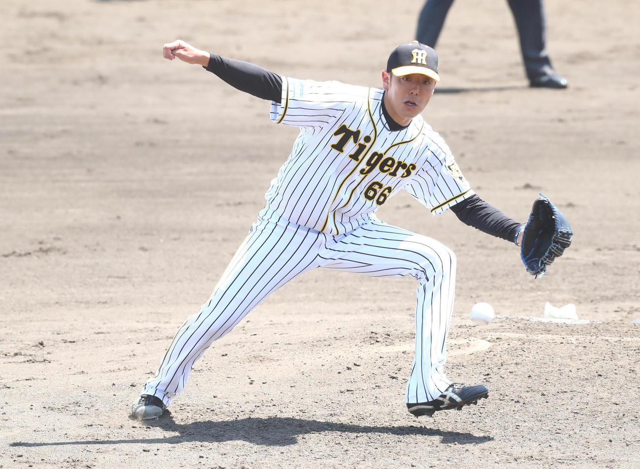阪神小川一平はオリックス・宜保翔のゴロに飛びつこうとする（代表撮影）