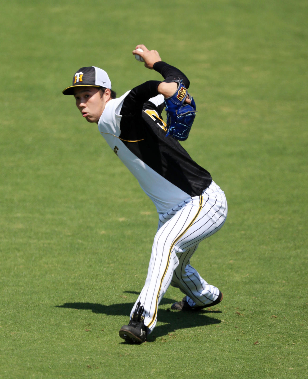 阪神対オリックス　練習でキャッチボールする青柳晃洋（撮影・加藤哉）