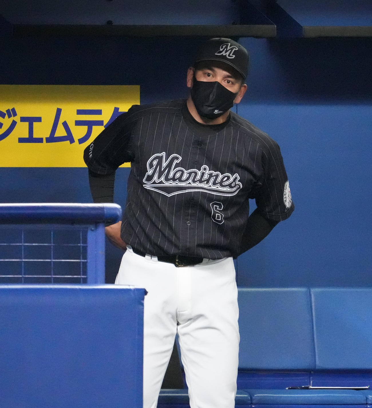 中日対ロッテ　5回裏、ベンチで試合を見つめる井口監督（撮影・森本幸一）