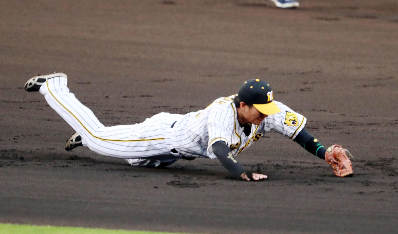 阪神対オリックス　1回表オリックス2死満塁、北條は伏見の打球に横っ跳びで好捕（撮影・加藤哉）