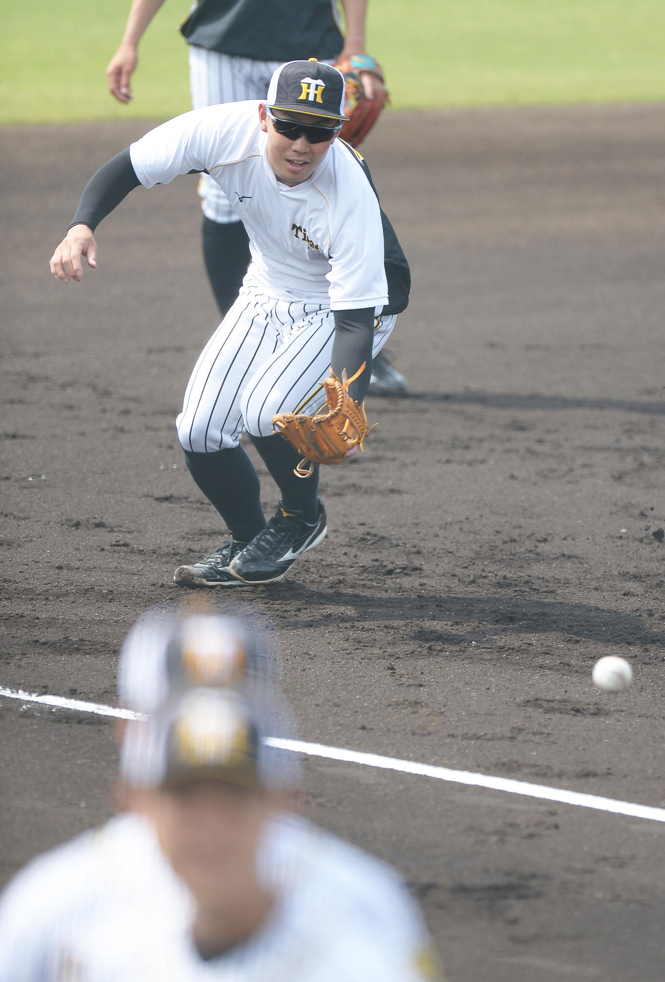ウエスタン・リーグ阪神対オリックス　試合前にノックを受ける阪神糸原（代表撮影）