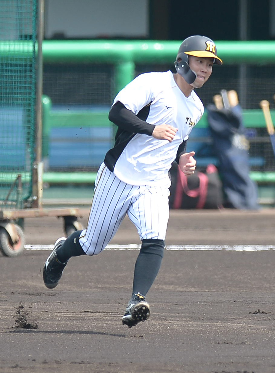 ウエスタン・リーグ阪神対オリックス　試合前にベースランニングをする阪神糸原（代表撮影）