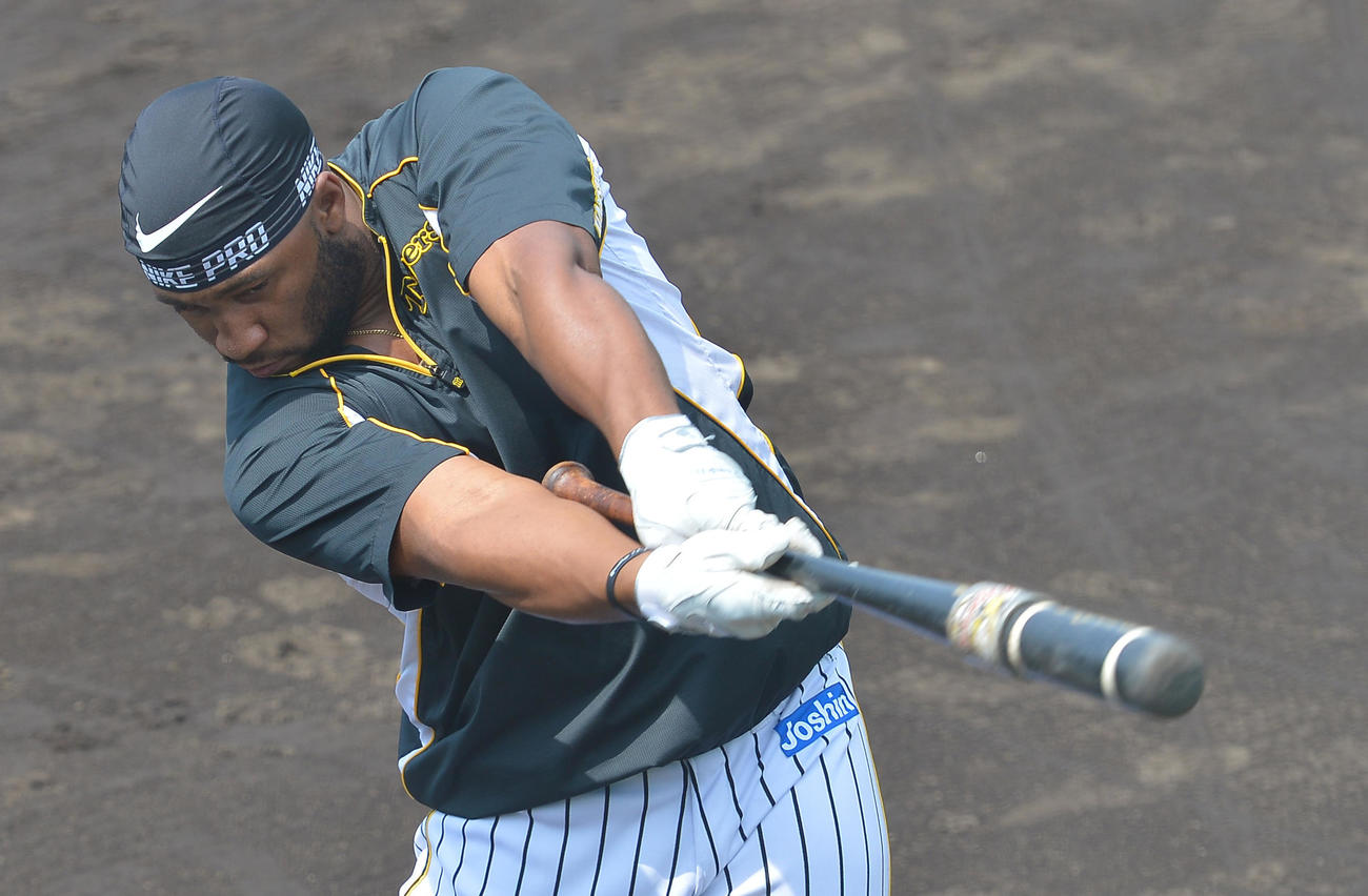 ウエスタン・リーグ阪神対オリックス　打撃練習に励む阪神ロハス（代表撮影）