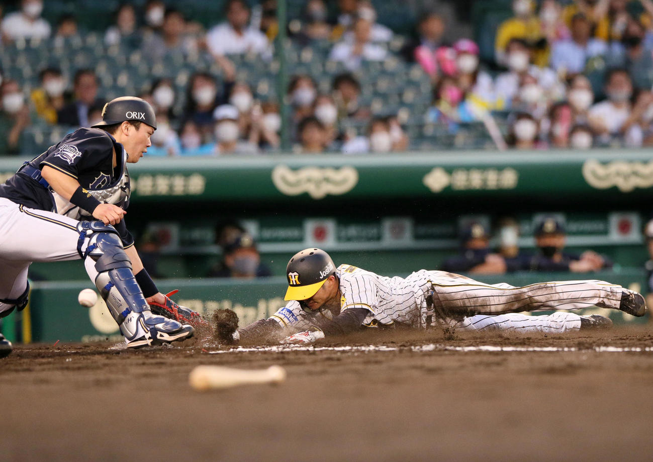 阪神対オリックス　3回裏阪神2死二塁、北條の左前適時打で生還する中野（撮影・上山淳一）