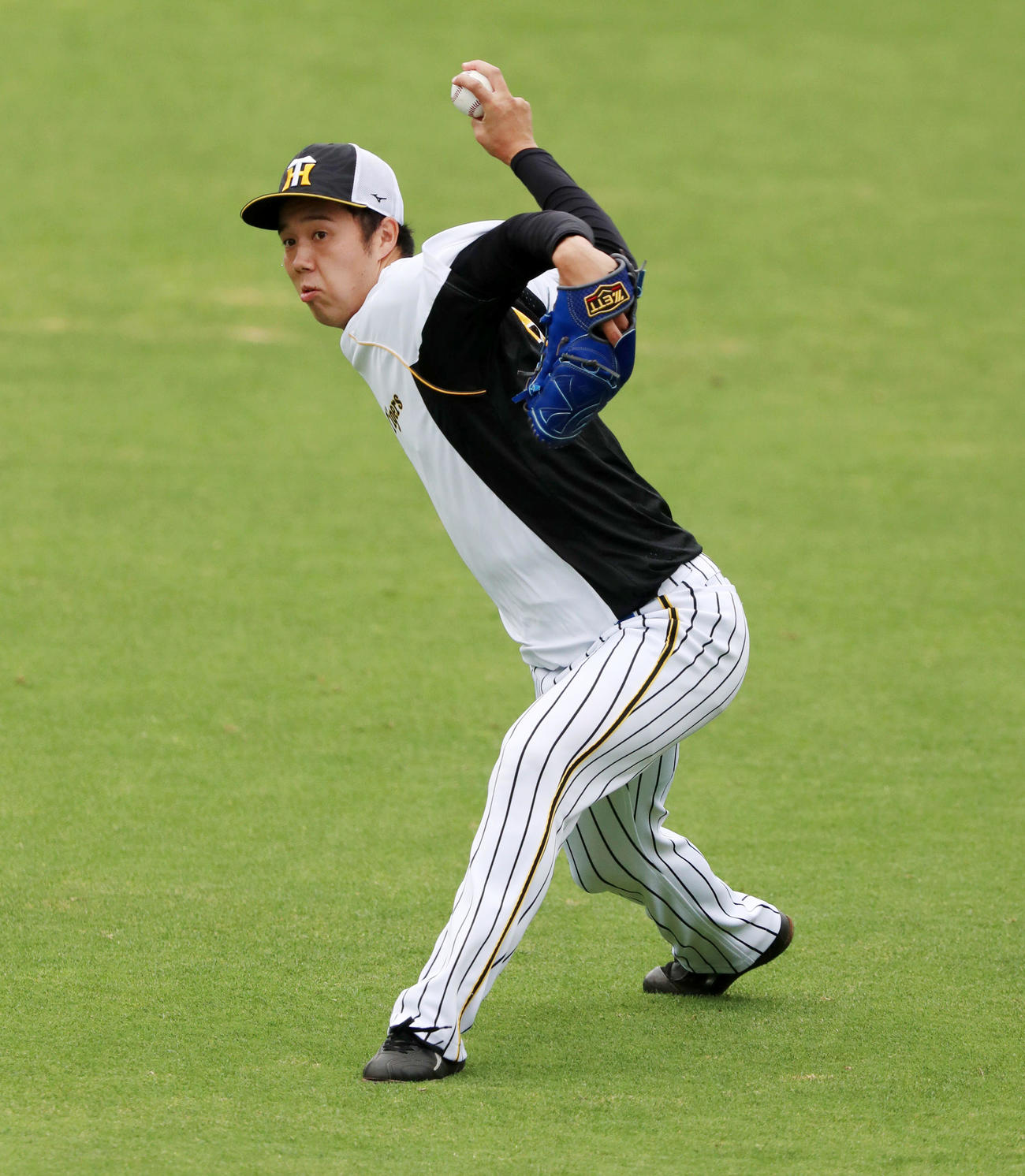 阪神対オリックス　練習でキャッチボールする青柳（撮影・加藤哉）