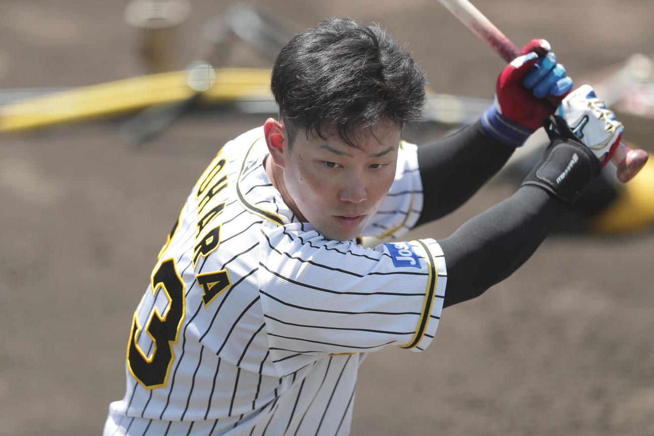 試合前練習に臨む阪神糸原（代表撮影）