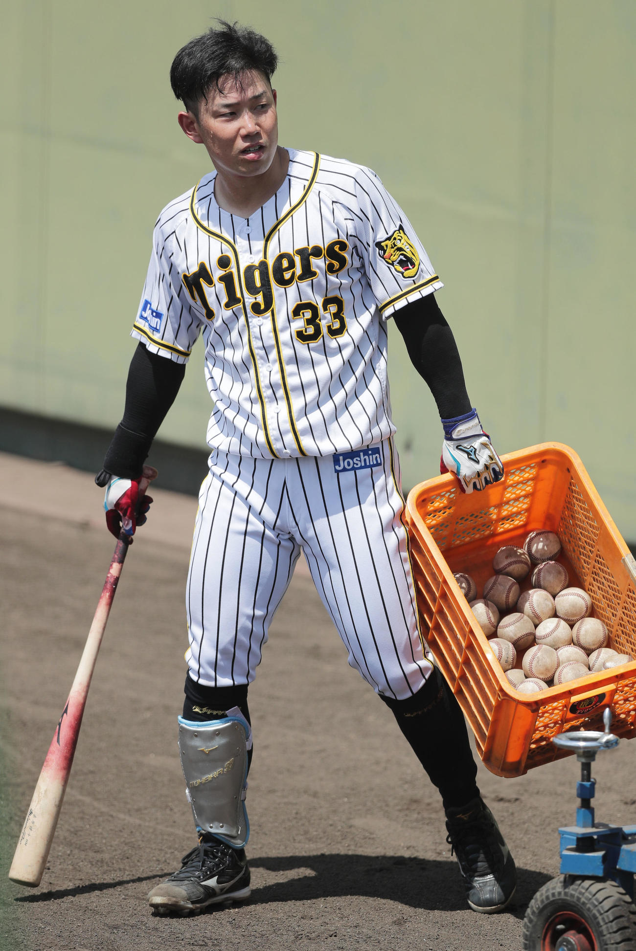 試合前練習に臨む阪神糸原（代表撮影）