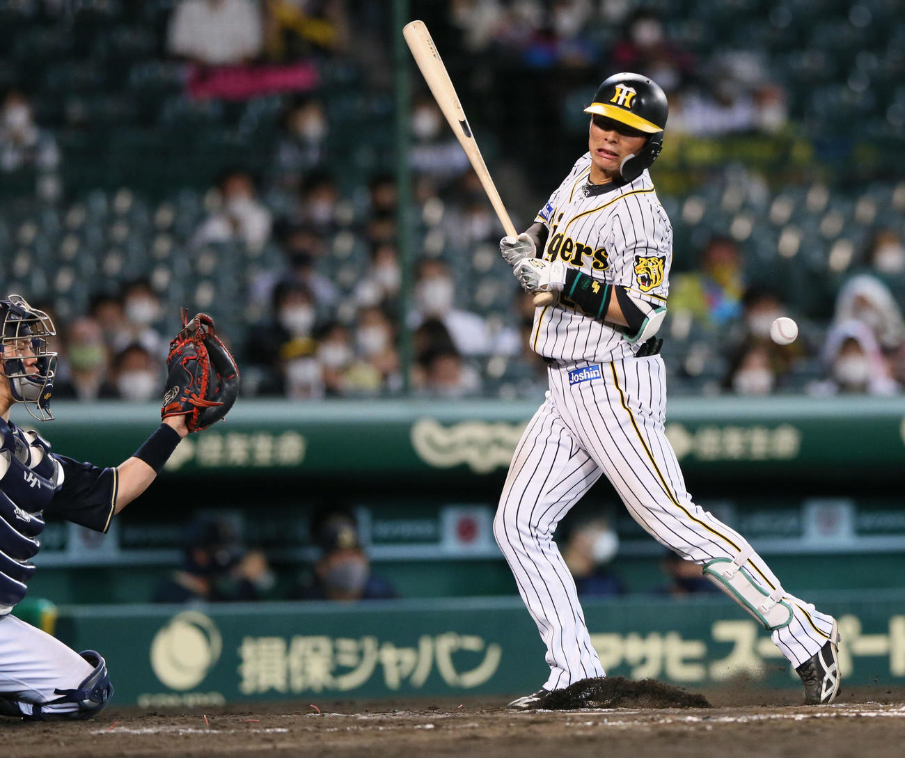阪神対オリックス3回戦　7回裏阪神2死二塁、北條史也は死球をうける（撮影・上山淳一）