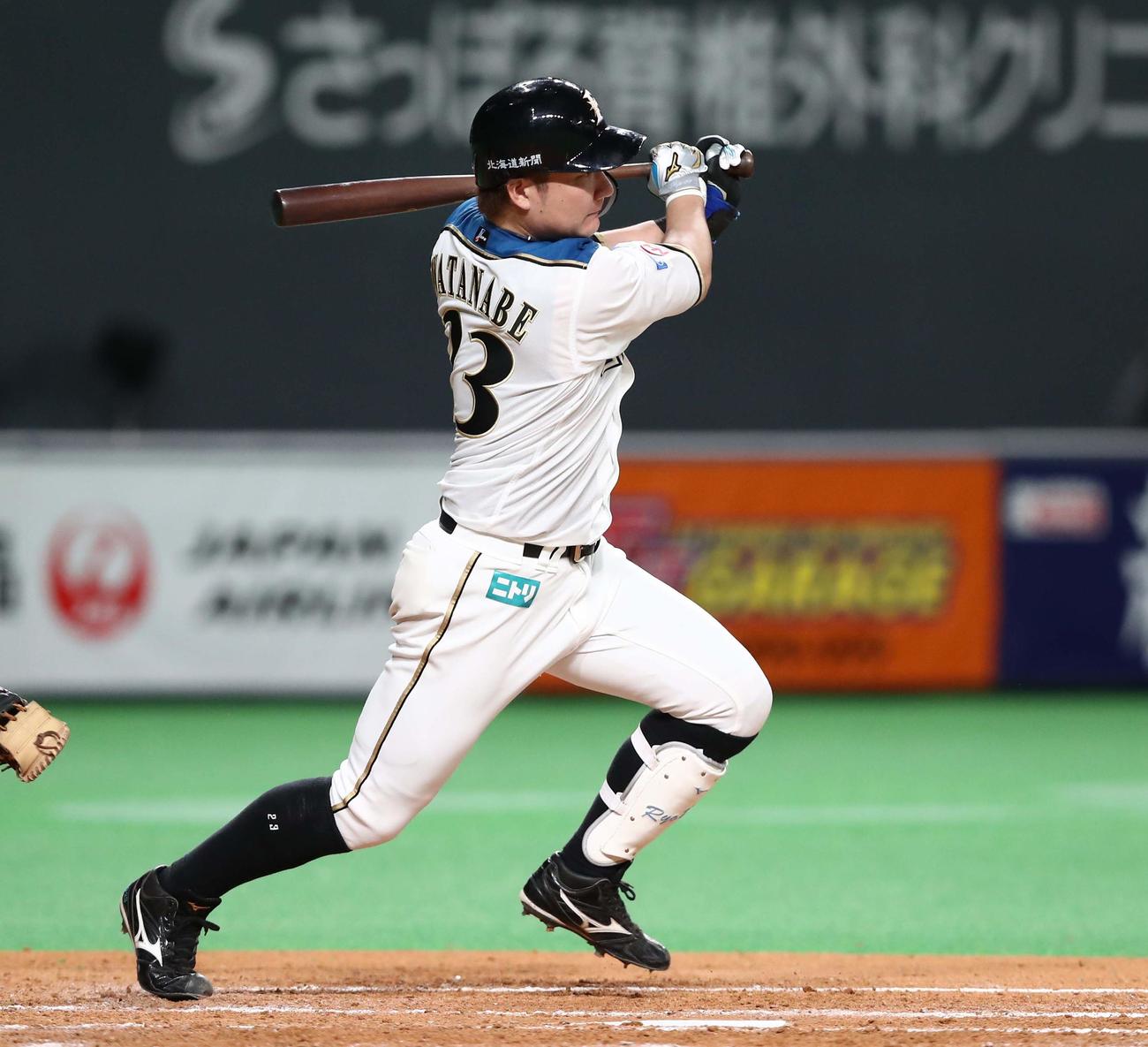 日本ハム渡辺諒（2021年5月28日撮影）