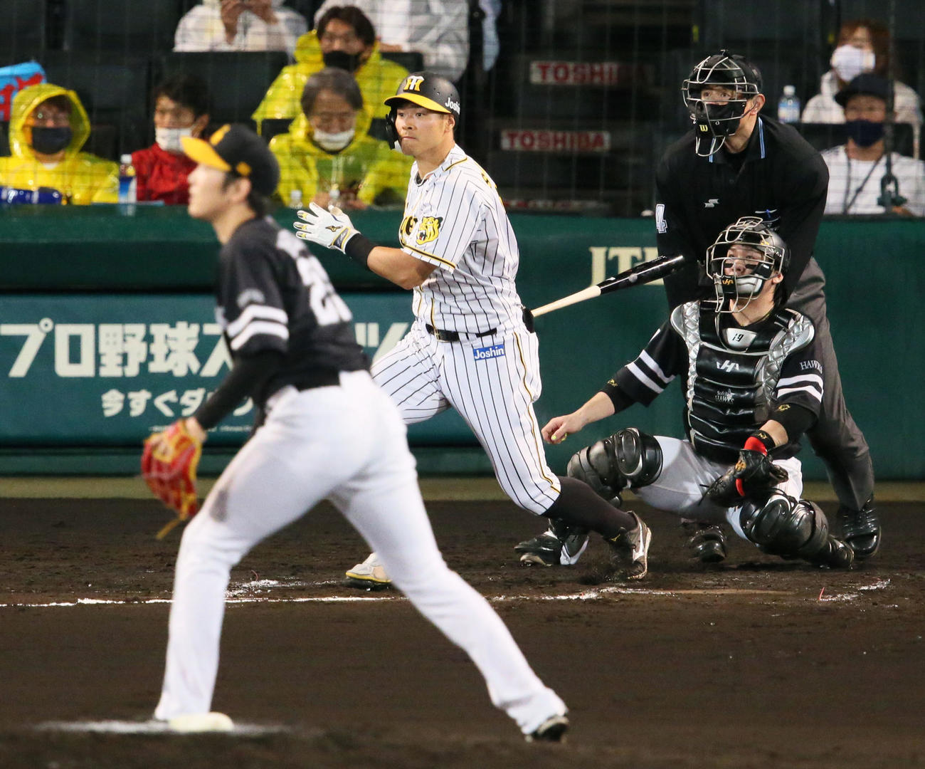 阪神対ソフトバンク　6回裏阪神2死三塁、佐藤輝は右前適時打を放つ（撮影・上山淳一）