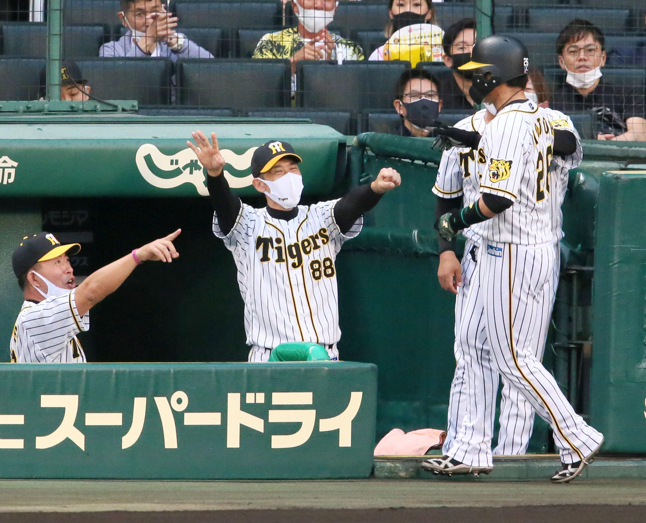 阪神対ソフトバンク　1回裏阪神1死三塁、大山の中前適時打で生還した北條（手前）を笑顔で迎える矢野監督（左から2人目）ら（撮影・上山淳一）