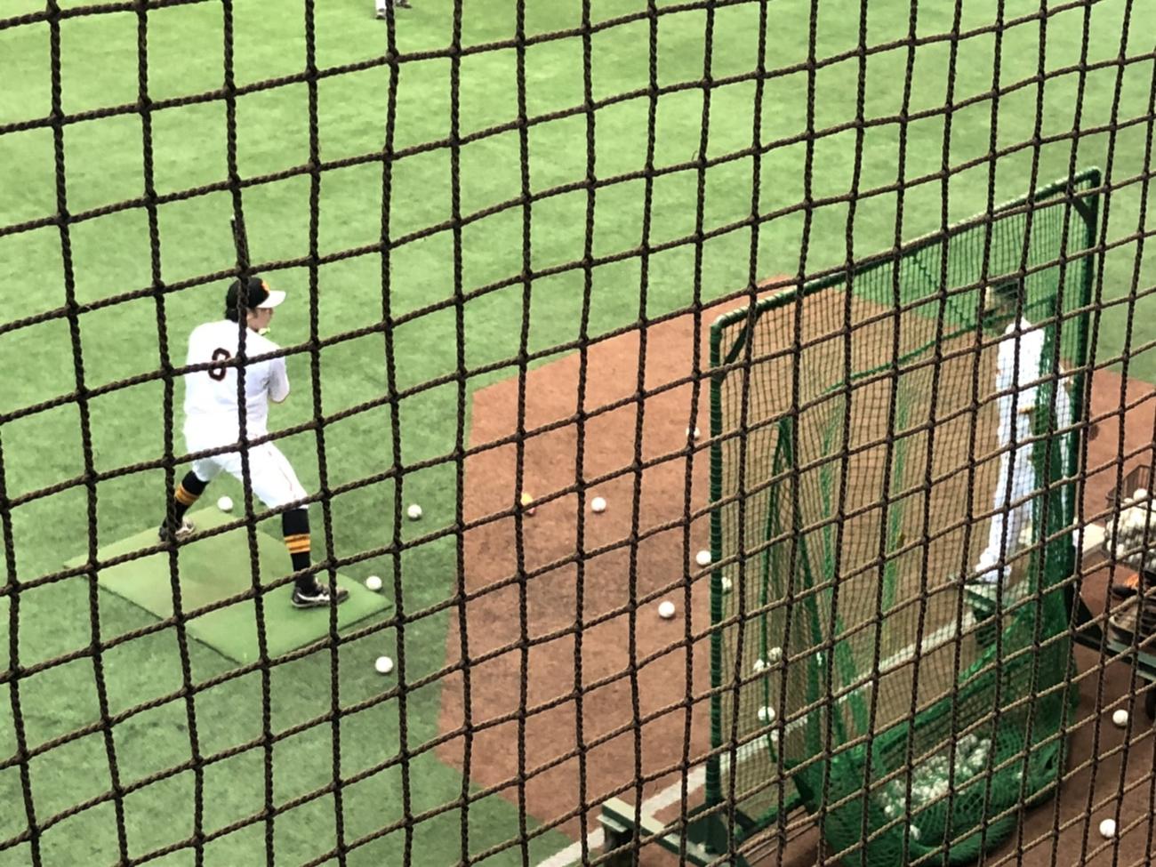 ジャイアンツ球場で阿部2軍監督指導の下、ティー打撃を行う巨人丸