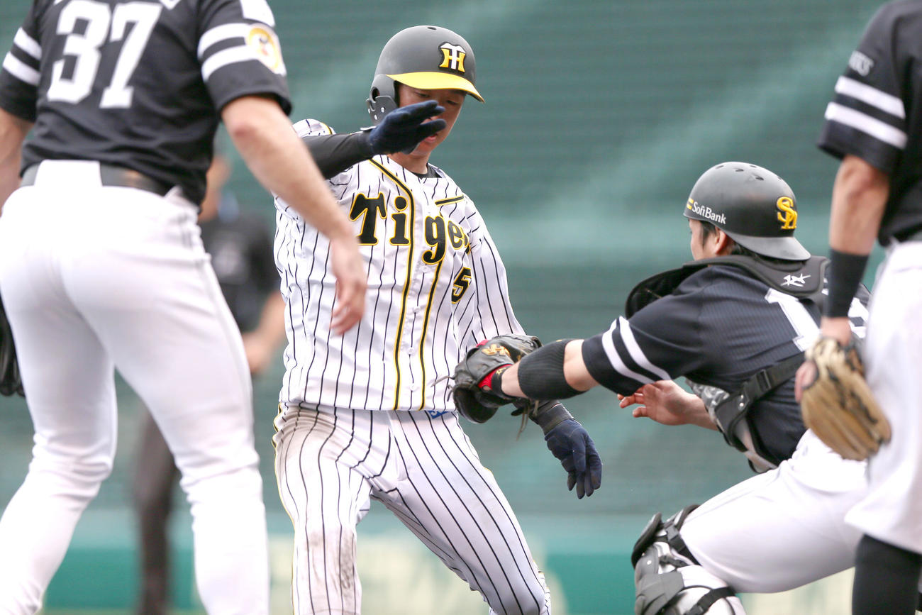 阪神対ソフトバンク2回戦　5回裏阪神1死二塁、二走近本光司（左）は打者ジェフリー・マルテの時、三盗を狙うが封殺される、右は捕手甲斐拓也（撮影・上山淳一）