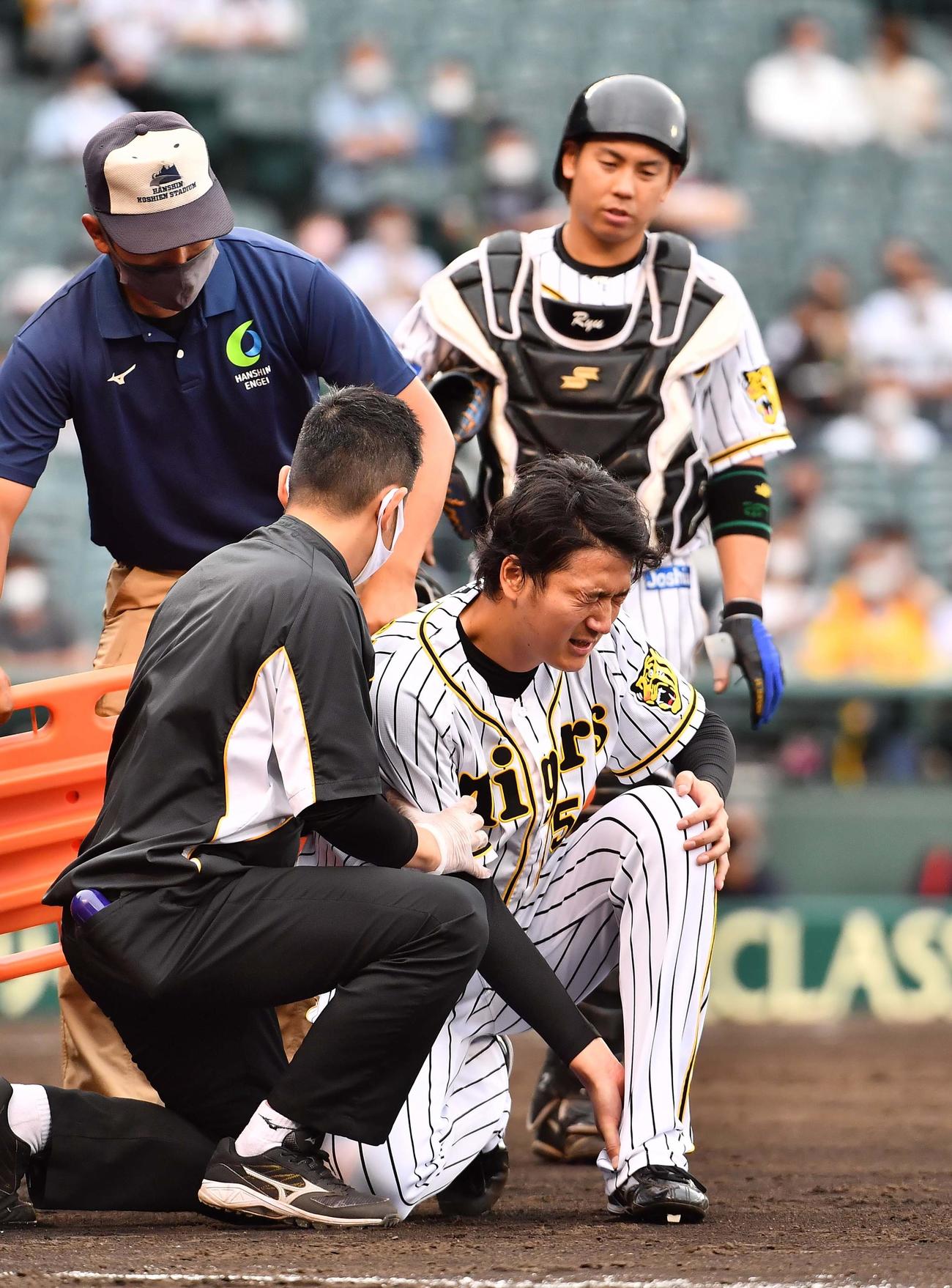 阪神対ソフトバンク　7回表ソフトバンク1死二、三塁、栗原陵矢の打球を処理し足を負傷する小林慶祐（撮影・上田博志）