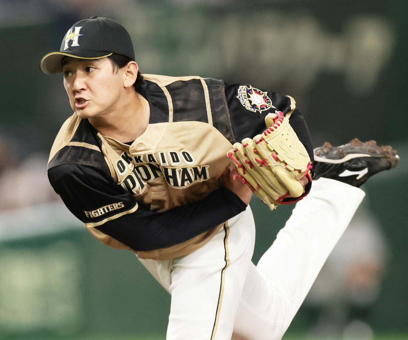 巨人対日本ハム　プロ初登板初先発の日本ハム立野（撮影・足立雅史）