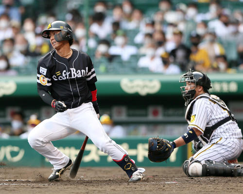 阪神対ソフトバンク　4回表ソフトバンク2死二塁、今宮は左前適時打を放つ（撮影・上山淳一）