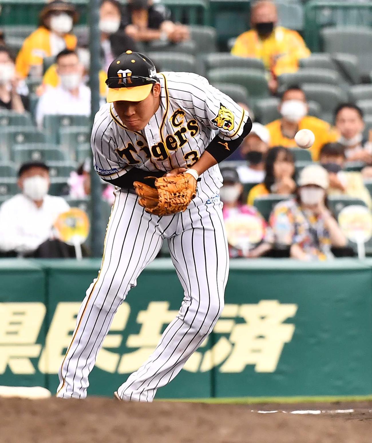 阪神対ソフトバンク　7回表ソフトバンク無死一塁、川島のゴロを失策する大山（撮影・上田博志）