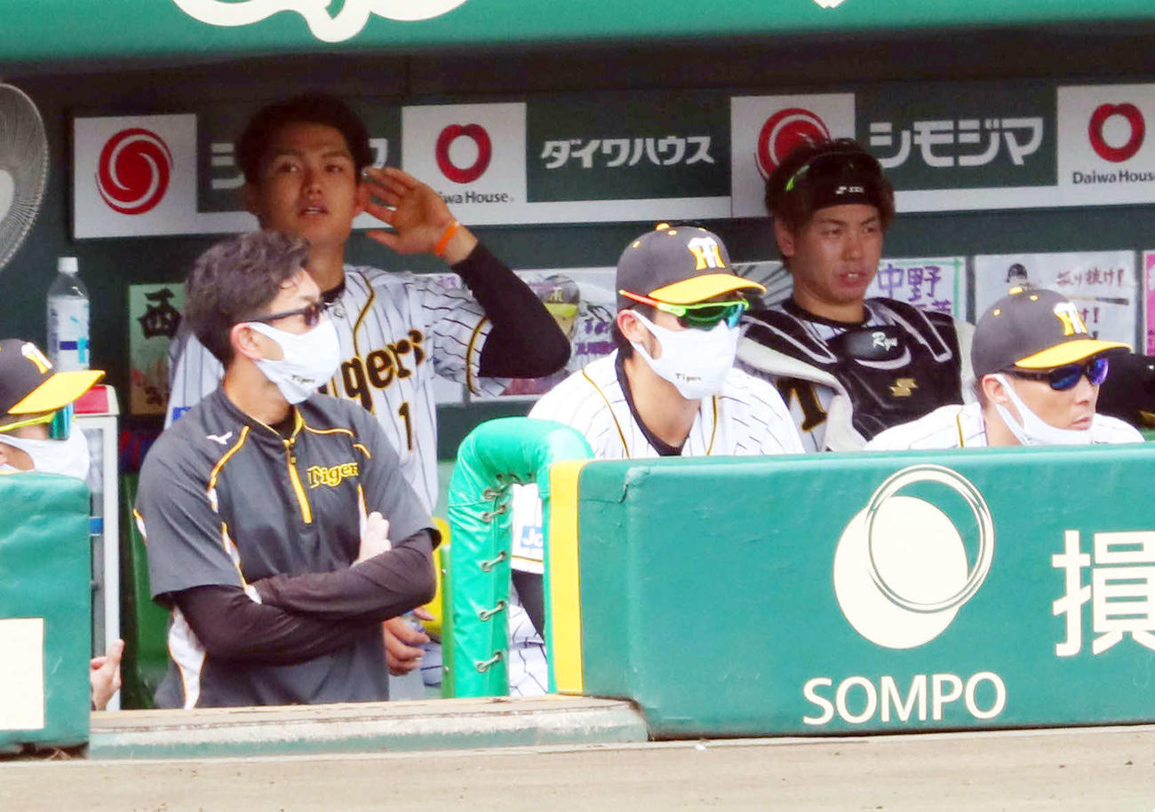 阪神対ソフトバンク　3回裏阪神1死、西純（左から2人目）は代打を出され梅野（右から2人目）と並んで厳しい表情を見せる（撮影・宮崎幸一）