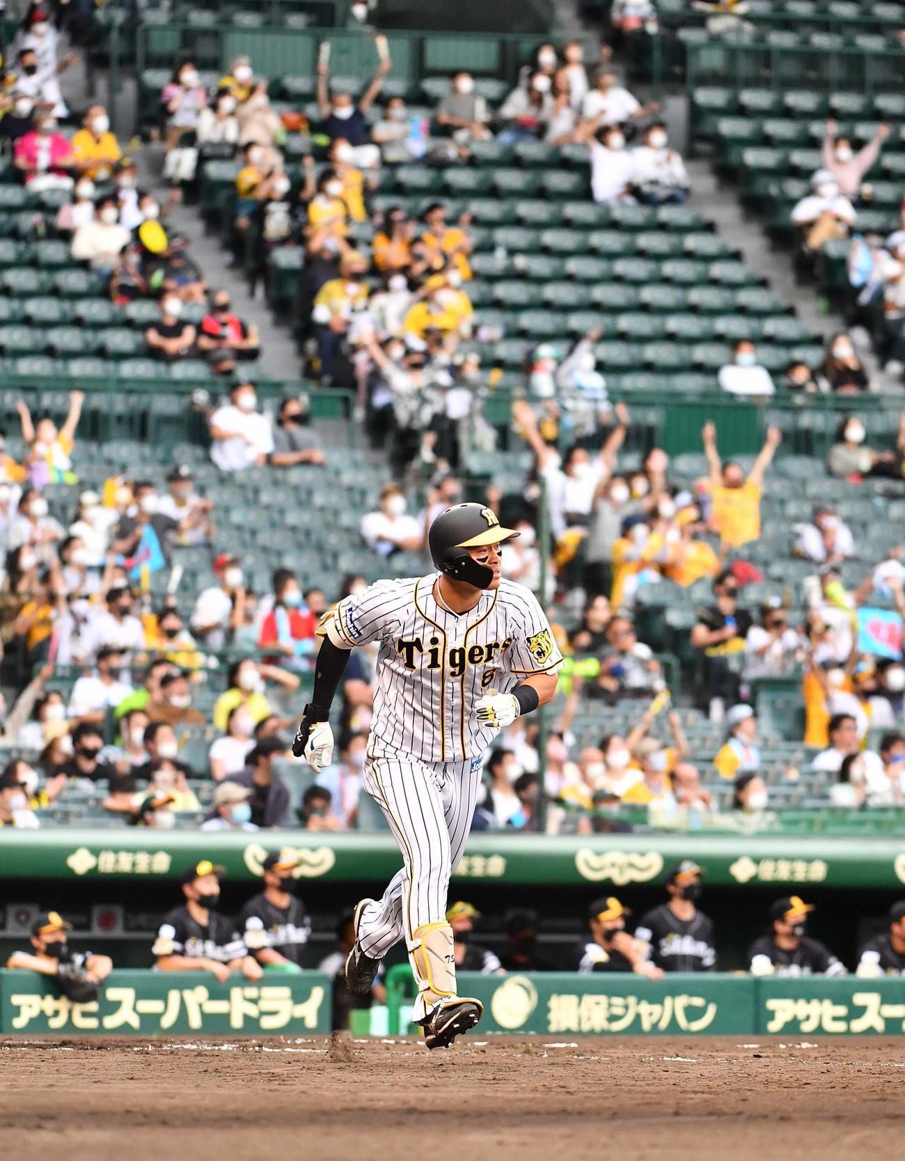 阪神対ソフトバンク　9回裏阪神1死、右中間にソロ本塁打を放った佐藤輝はファンのバンザイを背にダイヤモンドを回る（撮影・上田博志）