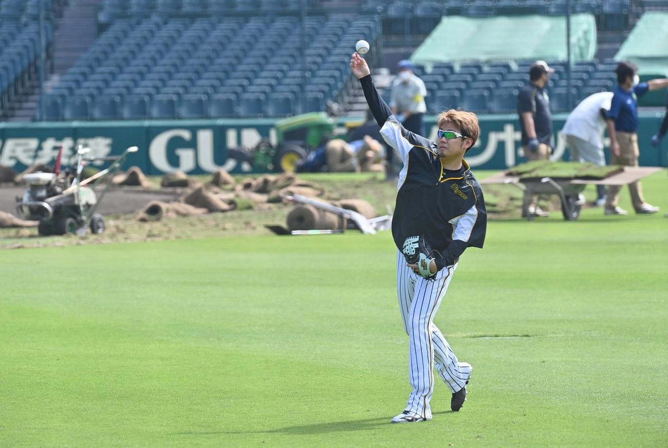 芝の改修が行われる甲子園球場でキャッチボールで調整する西勇（撮影・上田博志）