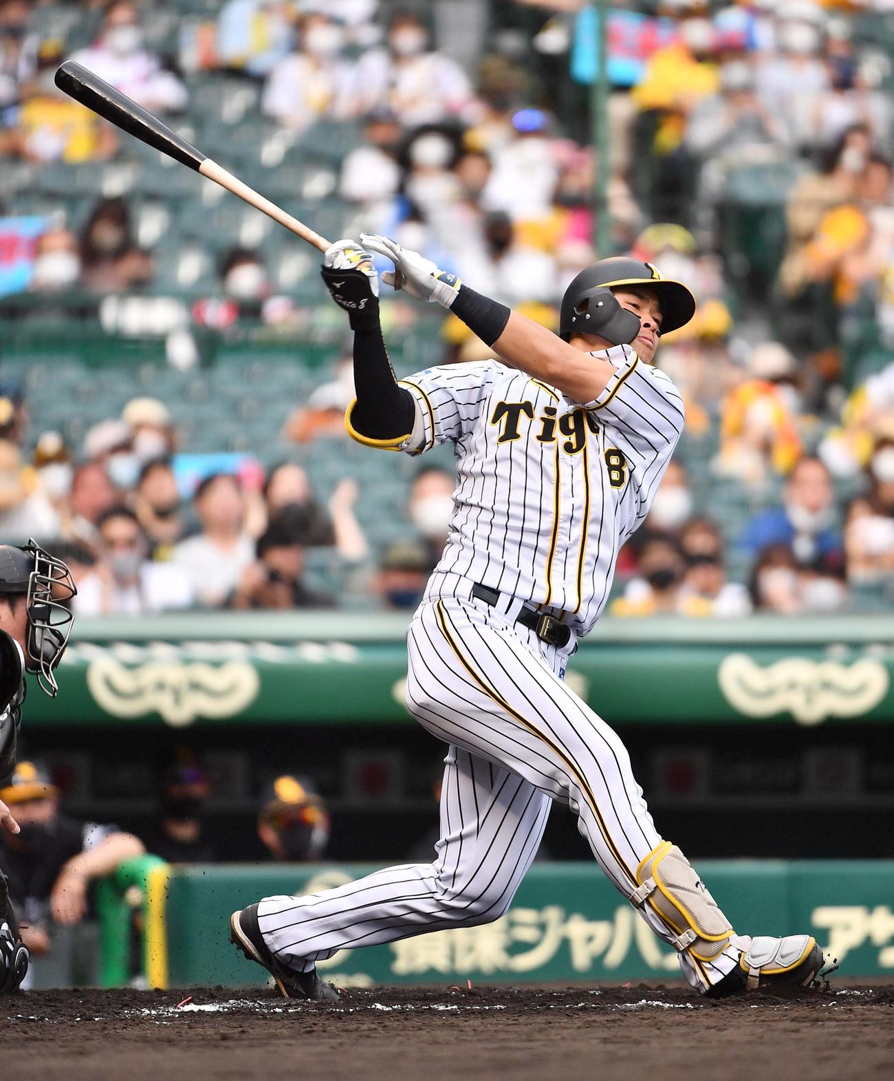 阪神佐藤輝明（2021年6月6日撮影）