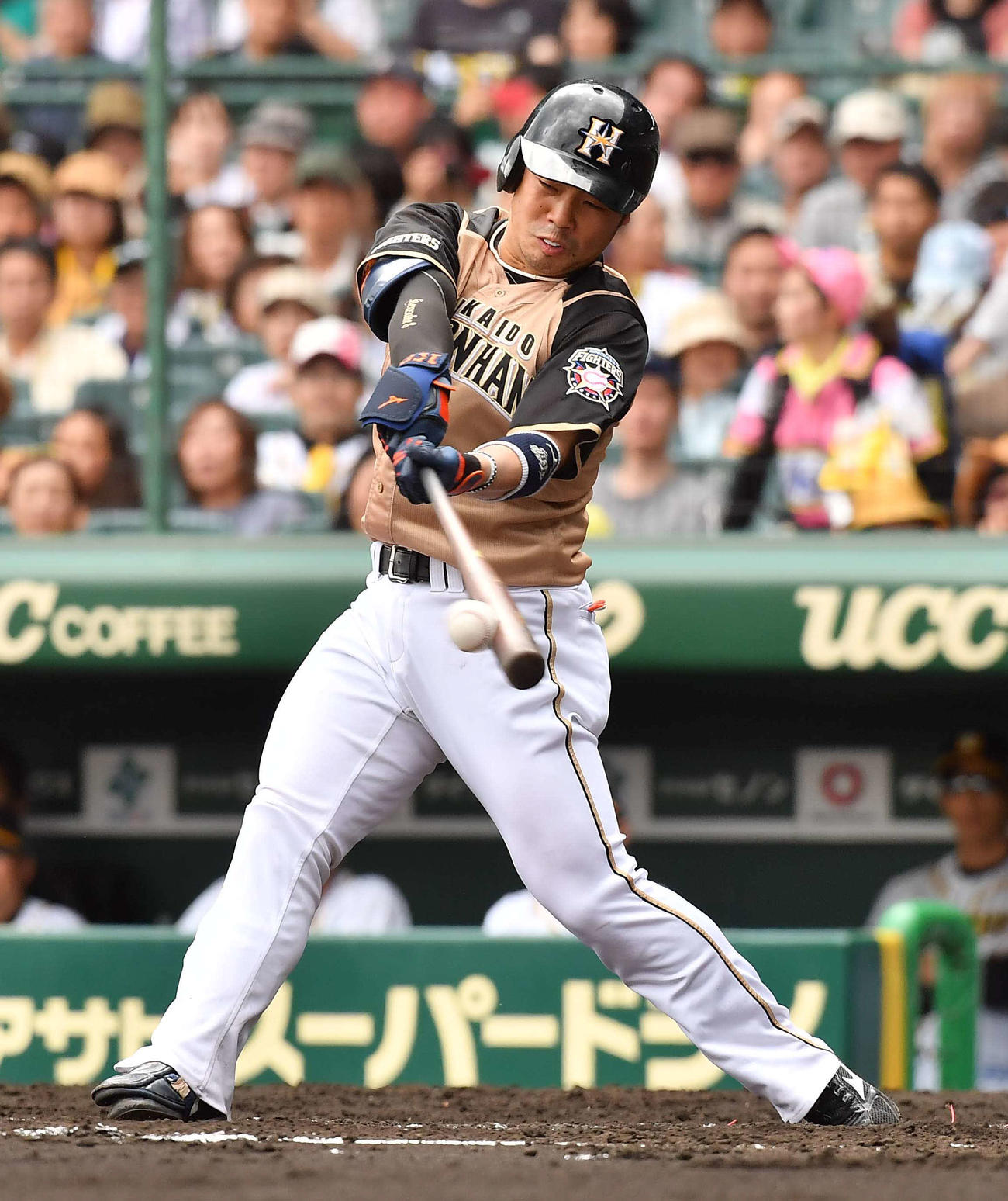 日本ハム近藤健介（2019年6月8日撮影）