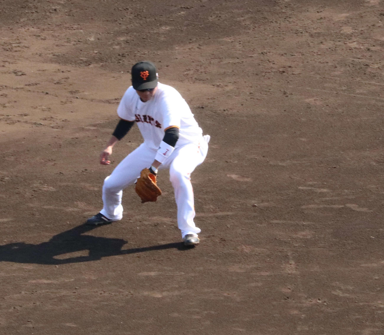 イースタン・リーグ巨人対DeNA　試合前のシートノックを受ける巨人坂本（撮影・小早川宗一郎）