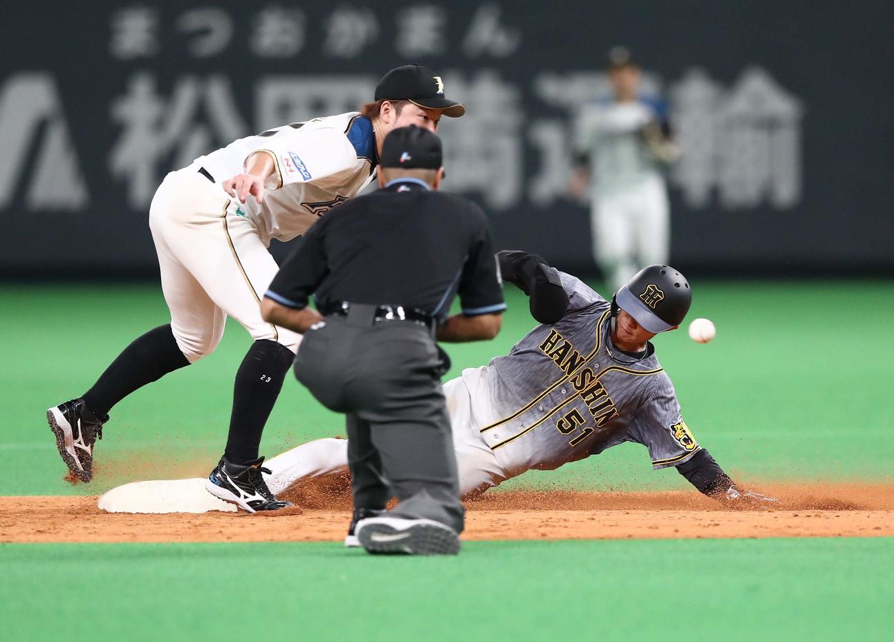 日本ハム対阪神　5回表阪神1死一塁、盗塁を決める中野（撮影・黒川智章）