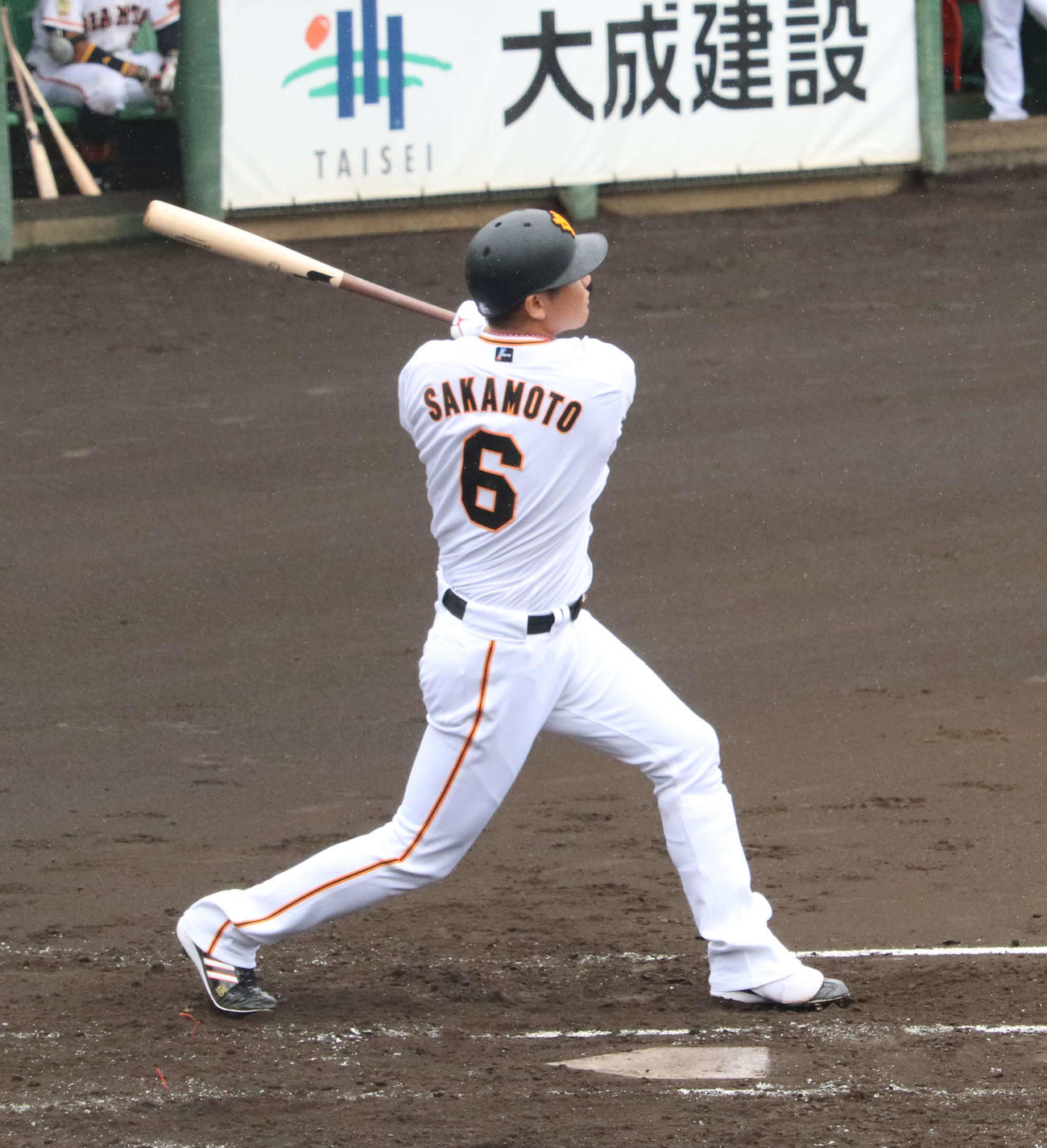 巨人坂本勇人（2021年6月6日撮影）