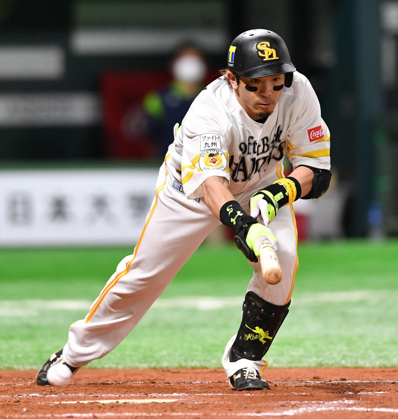 ソフトバンク対ヤクルト　7回裏ソフトバンク無死一塁、スリーバントに失敗する松田（撮影・岩下翔太）