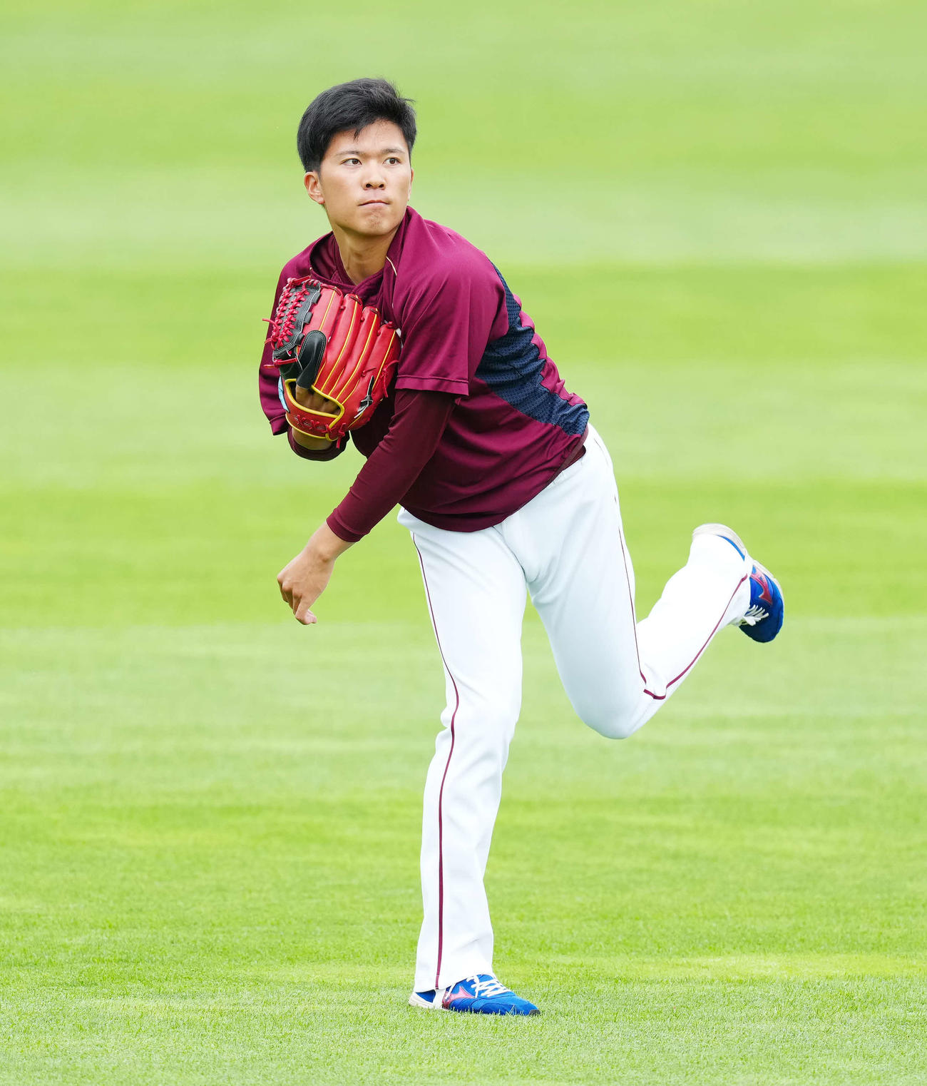 楽天対阪神　試合前練習でキャッチボールする楽天早川（撮影・江口和貴）