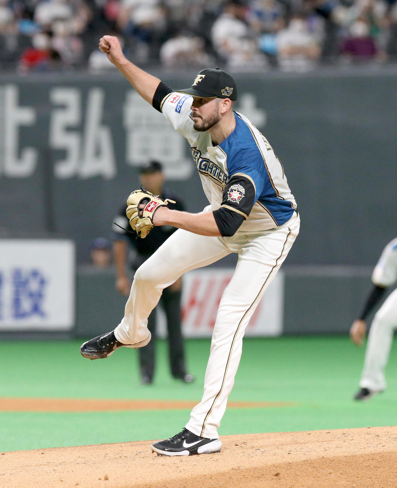 日本ハム対DeNA　日本ハム先発のバーヘイゲン（撮影・佐藤翔太）