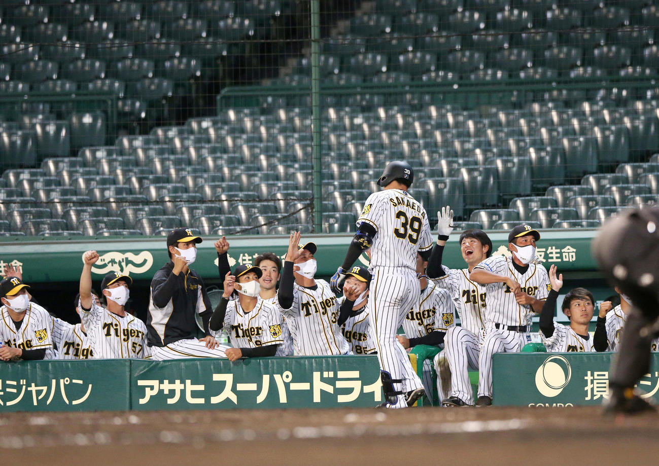 阪神対ソフトバンク　9回裏阪神1死一塁、代打栄枝（手前）は左中間越え2点本塁打を放ちベンチのナインらの出迎えを受ける（撮影・上山淳一）