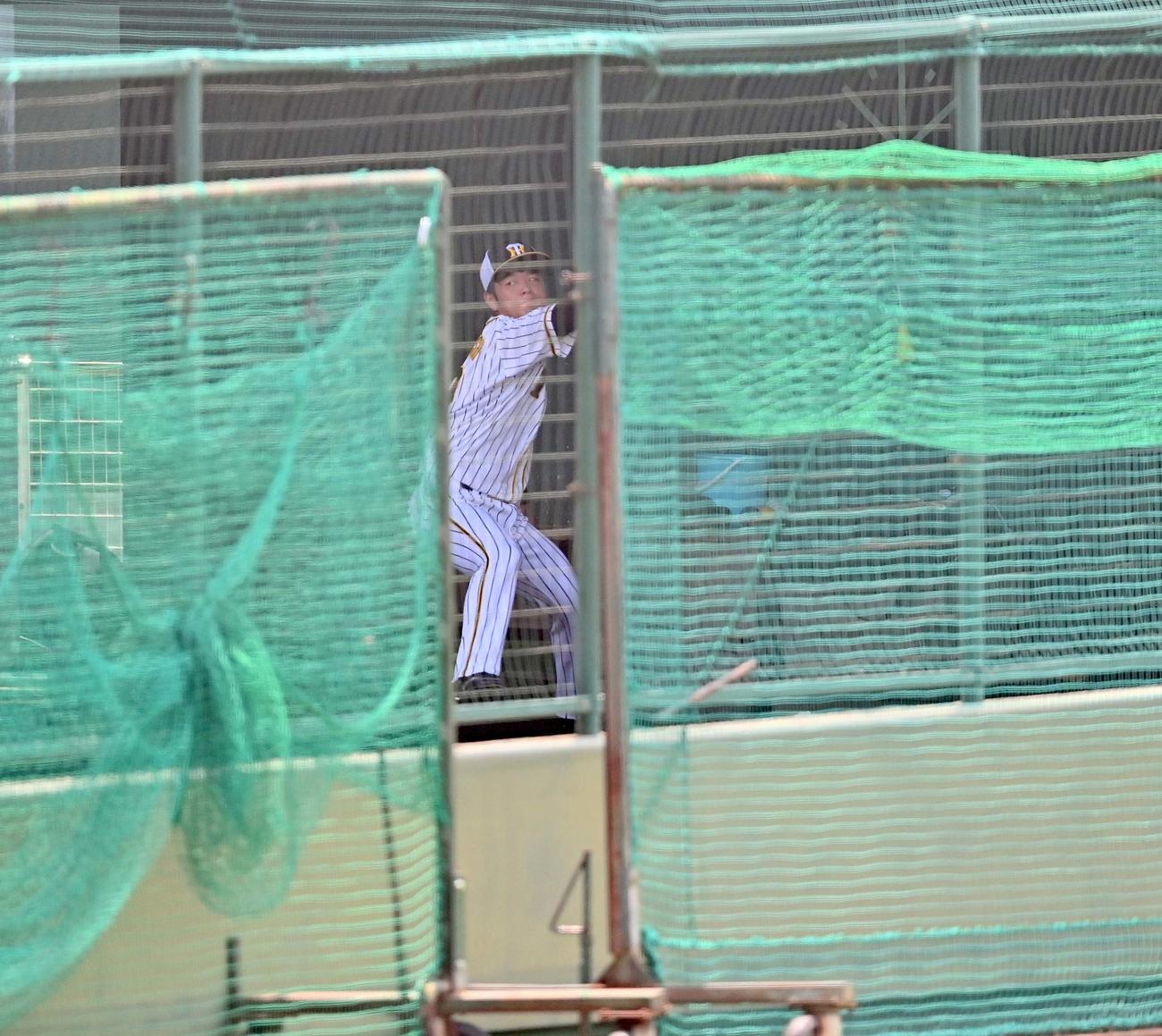 ブルペンで投球練習をする阪神高橋遥人（代表撮影）