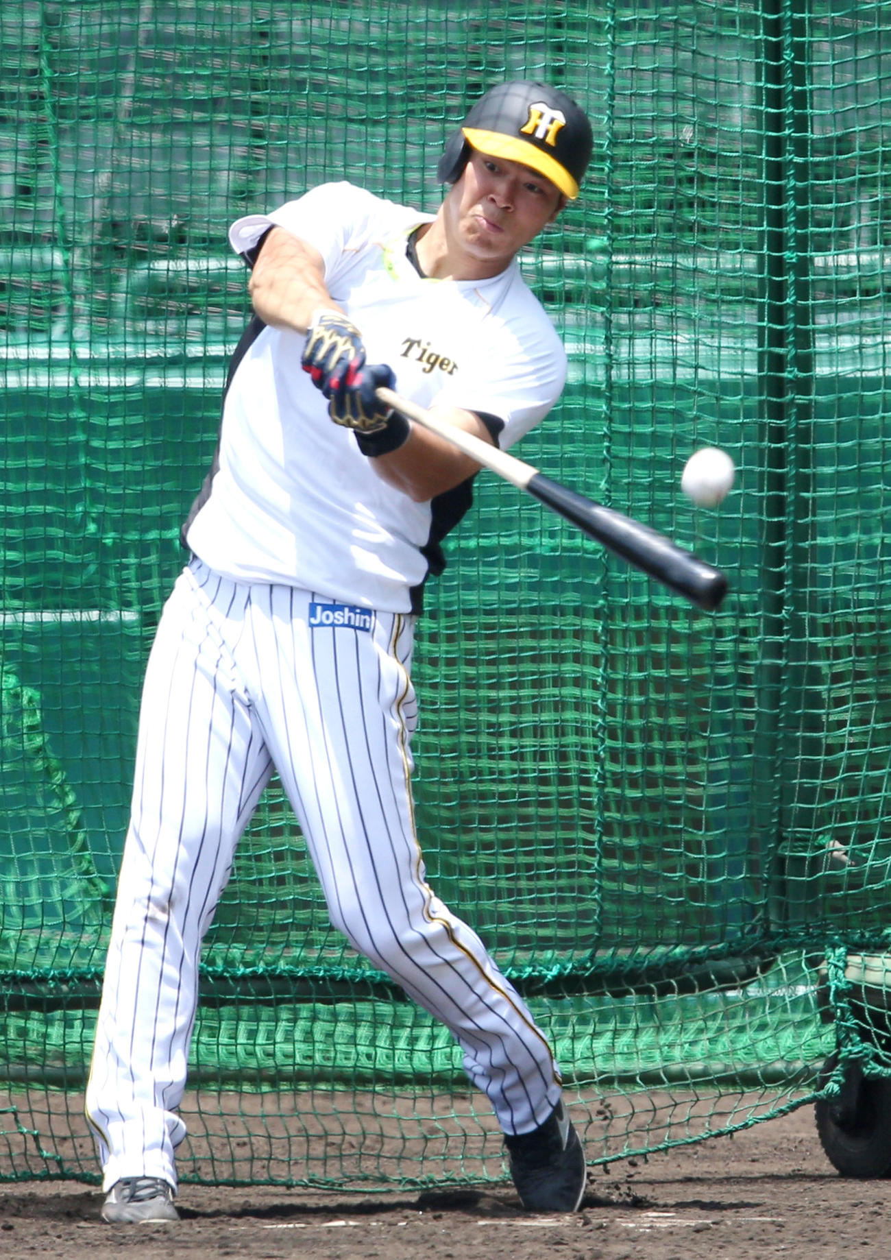 フリー打撃で汗を流す佐藤輝明（撮影・上山淳一）