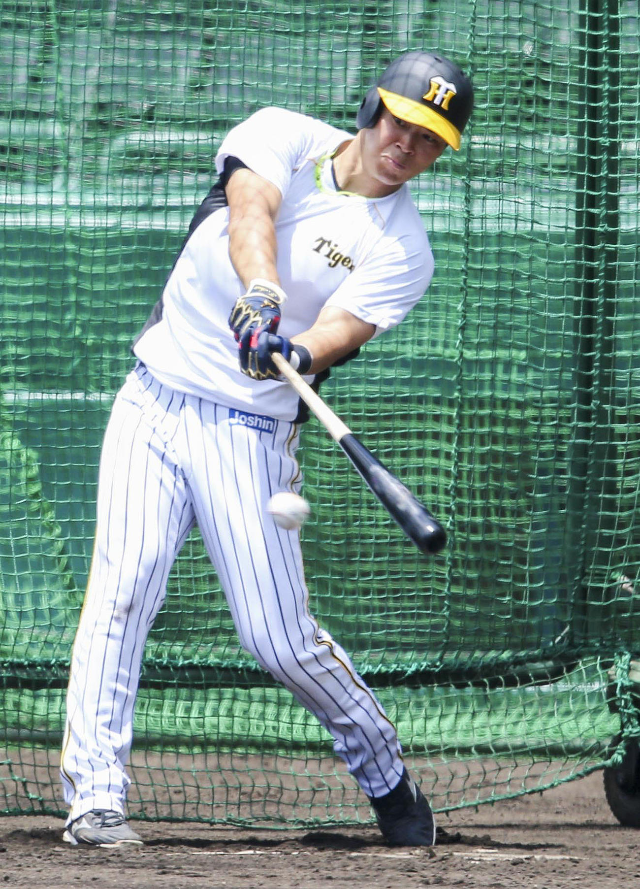 フリー打撃で汗を流す佐藤輝（撮影・上山淳一）