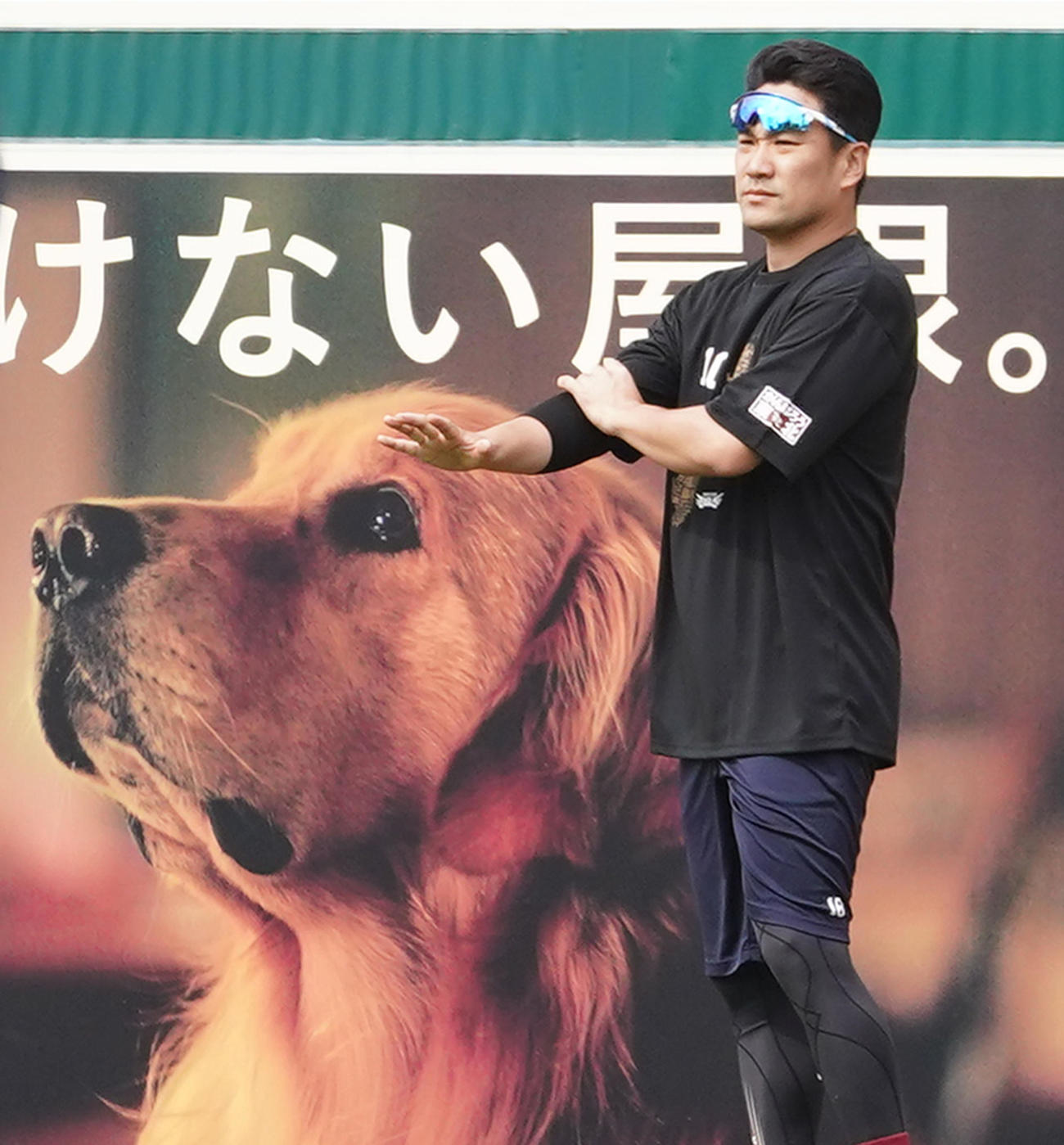楽天対オリックス　試合前、広告看板の犬を背に練習をする楽天田中将大（撮影・菅敏）