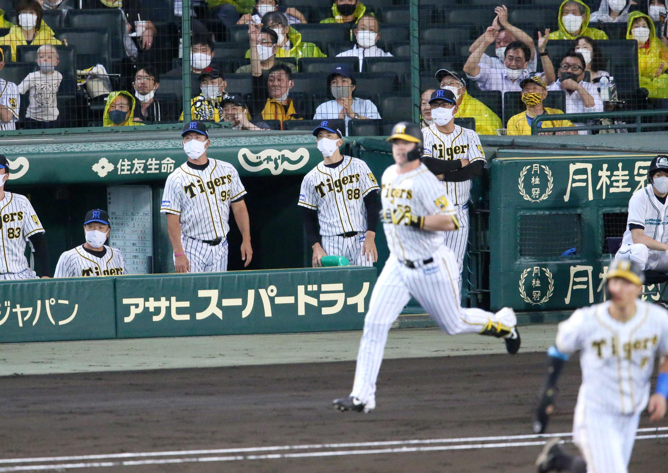 阪神対巨人　3回裏阪神無死満塁、矢野監督（左から3人目）はサンズの右越え満塁本塁打の打球を見る（撮影・上山淳一）