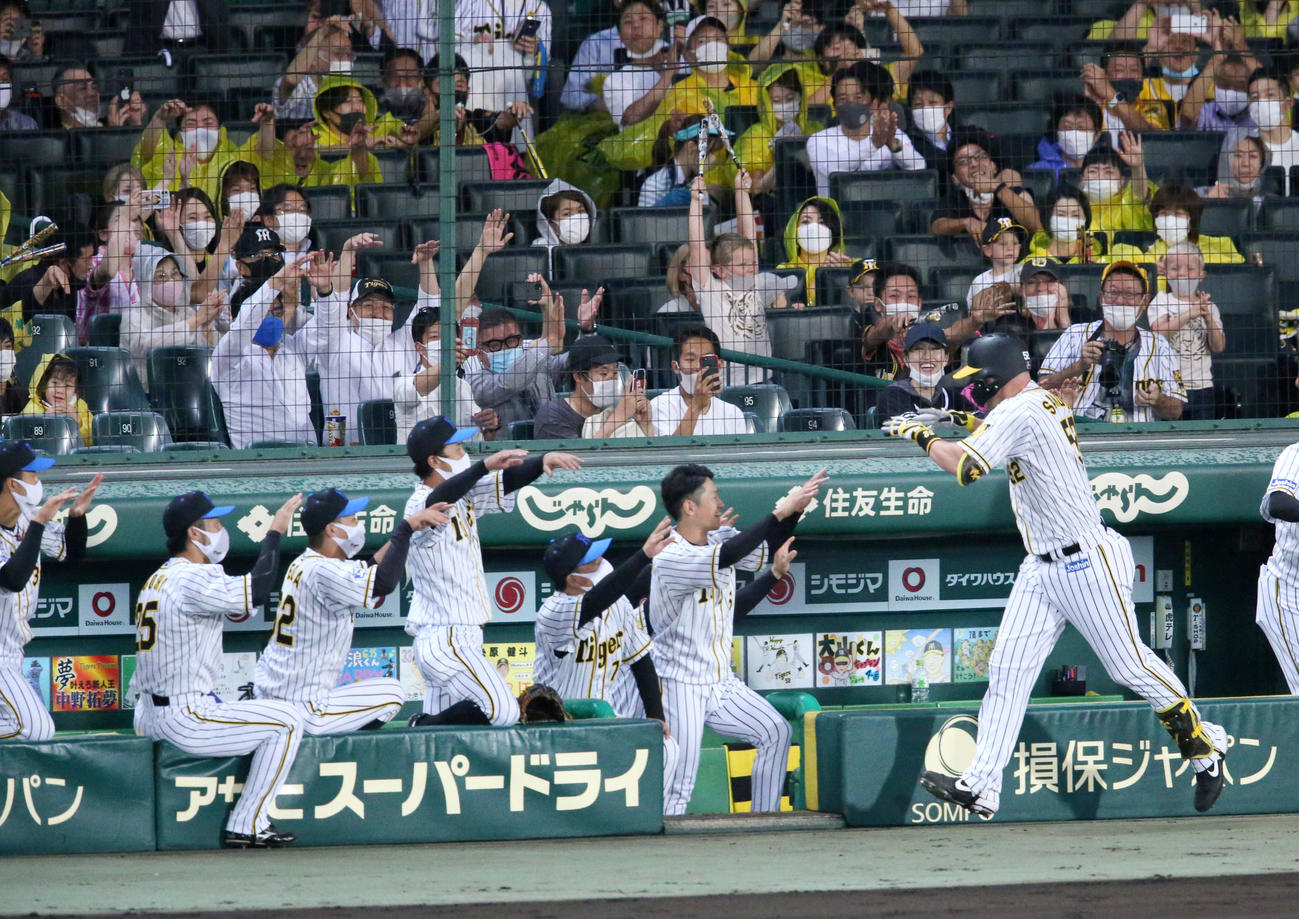 阪神対巨人　3回裏阪神無死満塁、右越え満塁本塁打を放ったサンズ（手前右）を出迎えるナインら（撮影・上山淳一）