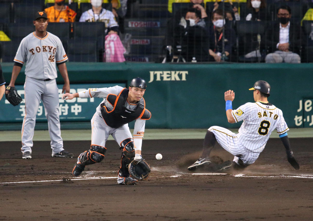 阪神対巨人　2回裏阪神無死二塁、佐藤輝（右）はサンズの左適時二塁打で先制生還する（撮影・上山淳一）