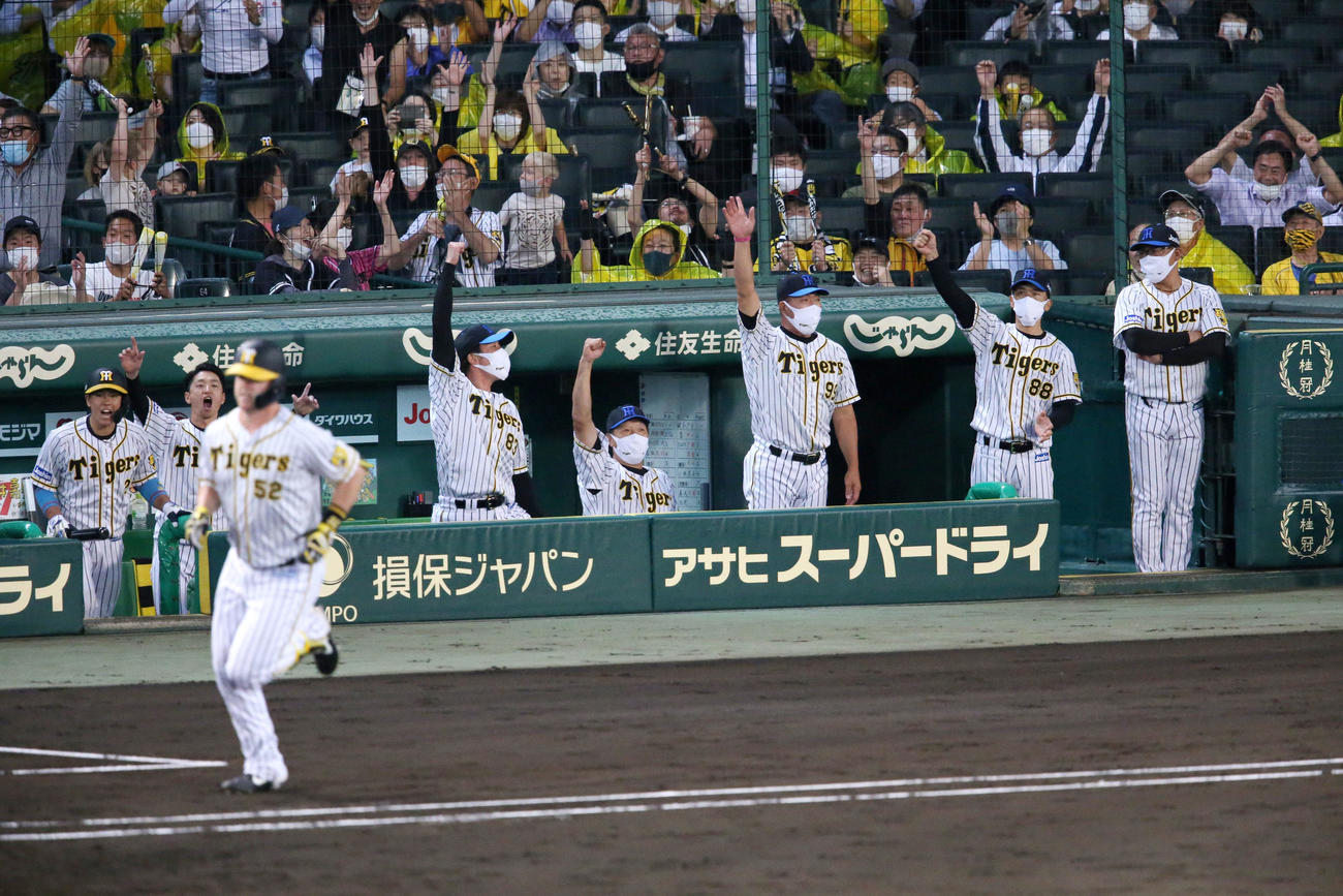 阪神対巨人　3回裏阪神無死満塁、矢野監督（右から2人目）はサンズ（手前左）の右越え満塁本塁打でガッツポーズする（撮影・上山淳一）