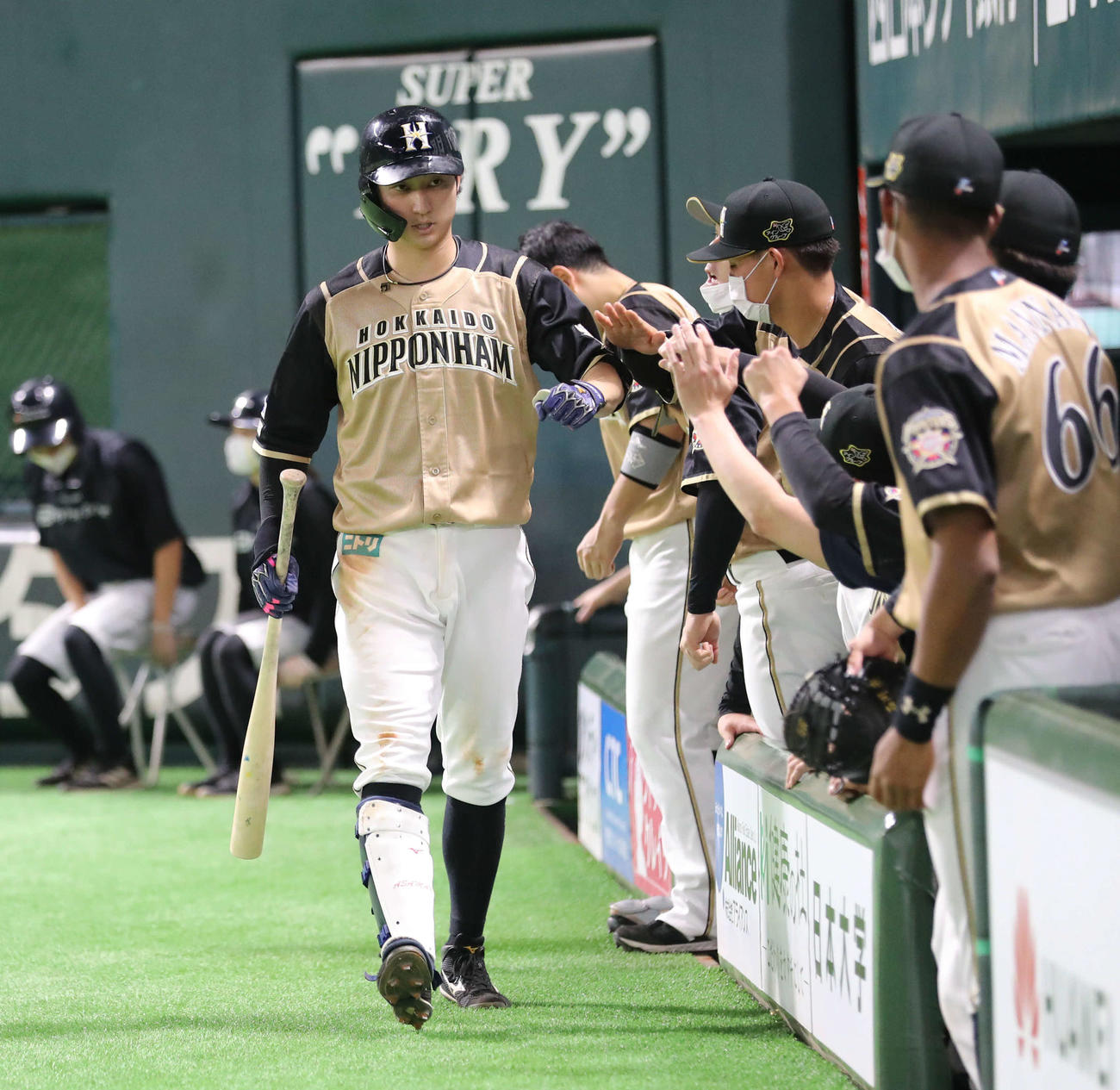 ソフトバンク対日本ハム　5回表日本ハム1死、右越えの本塁打を放ちナインとタッチをする浅間（撮影・屋方直哉）
