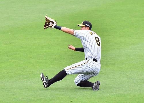 阪神対巨人　1回表巨人2死一、二塁、中島宏之の右飛を好捕する佐藤輝（撮影・上田博志）