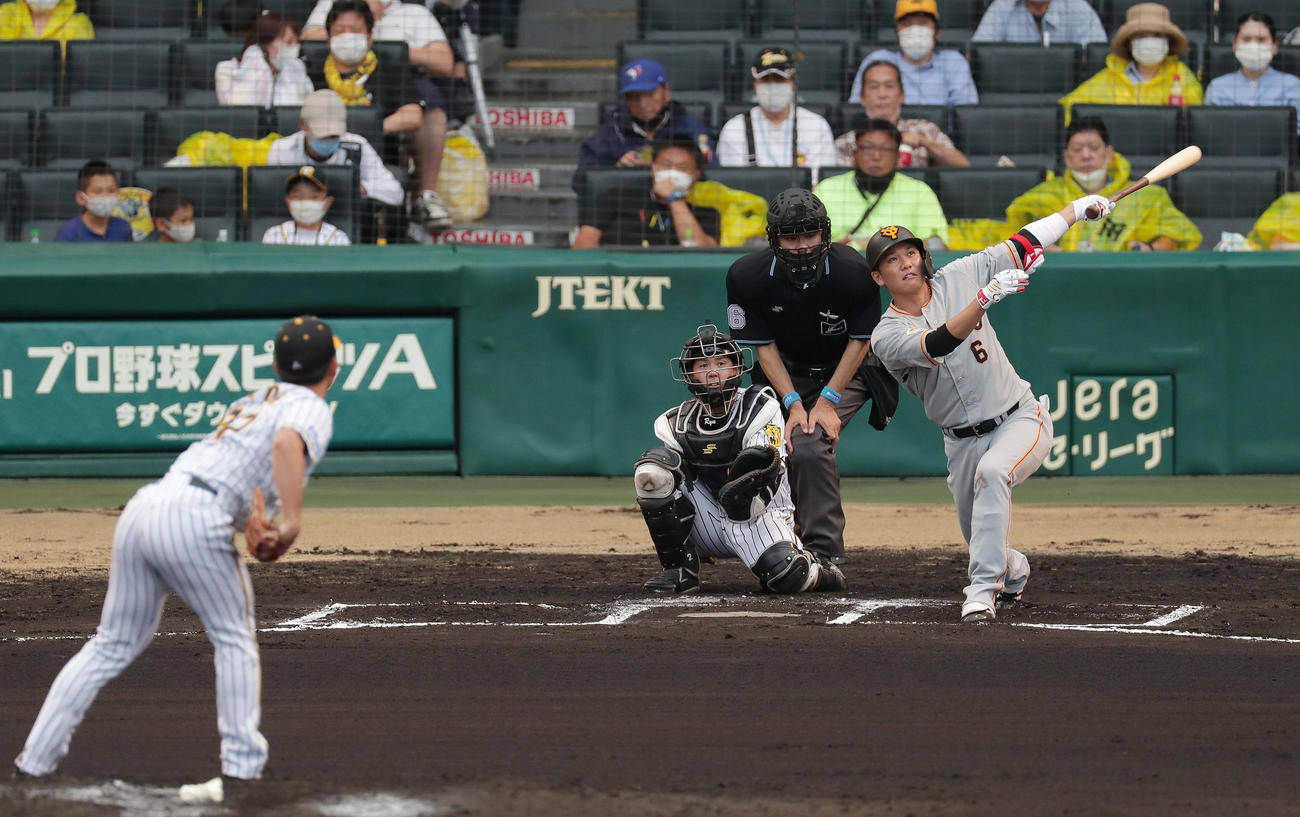 阪神対巨人　6回表巨人2死、通算250号となる左越え本塁打を放つ坂本。投手伊藤将（撮影・前田充）