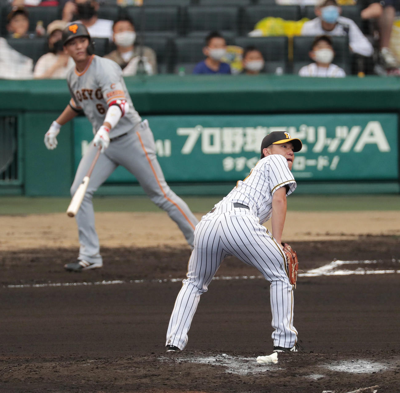 阪神対巨人　6回表巨人2死、坂本に通算250号となる左越え本塁打を浴びる伊藤将（撮影・前田充）