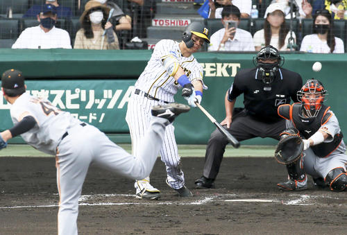 6回裏阪神2死、佐藤輝は左越え本塁打を放つ（撮影・上山淳一）