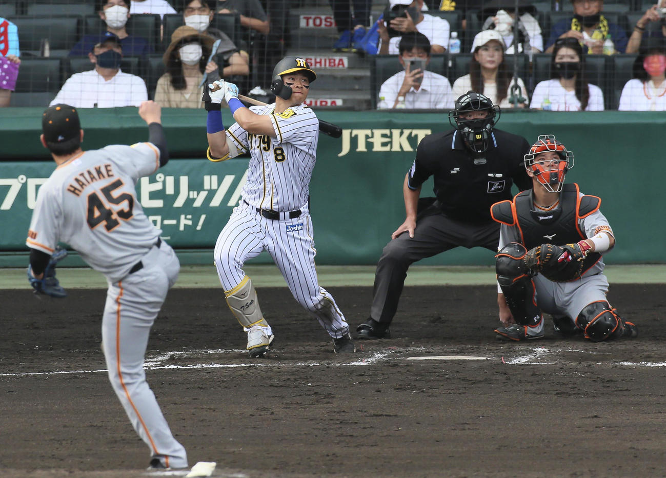 阪神対巨人　6回裏阪神2死、佐藤輝は左越え本塁打を放つ（撮影・上山淳一）