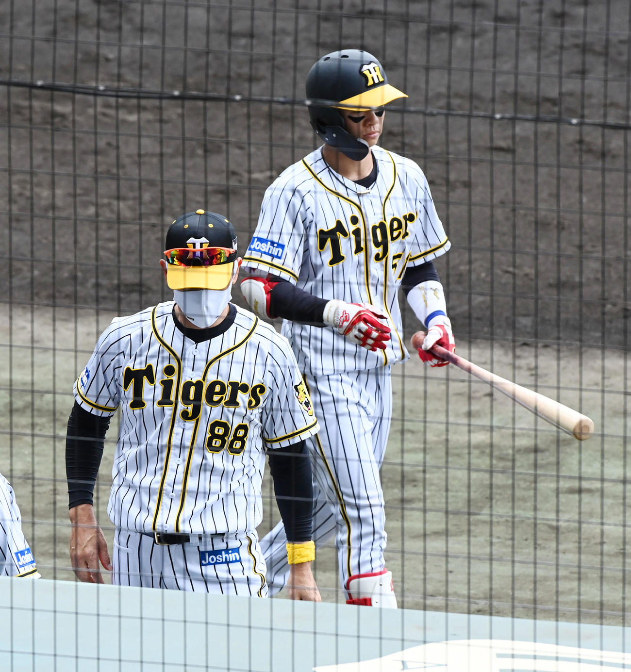 阪神対巨人　7回裏阪神2死一、二塁、中野に代打を送る矢野監督（撮影・前岡正明）