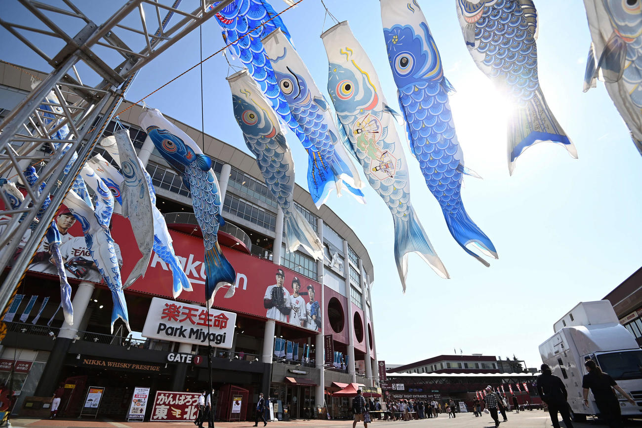 楽天対オリックス　ゲートに飾られ「青い鯉のぼり」とスタジアム（撮影・たえ見朱実）